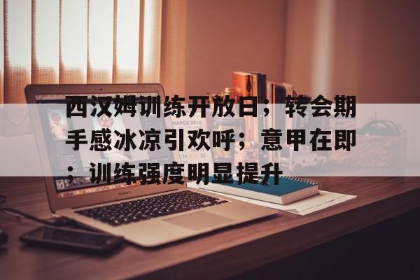 关于西汉姆训练开放日；转会期手感冰凉引欢呼；意甲在即；训练强度明显提升的信息
